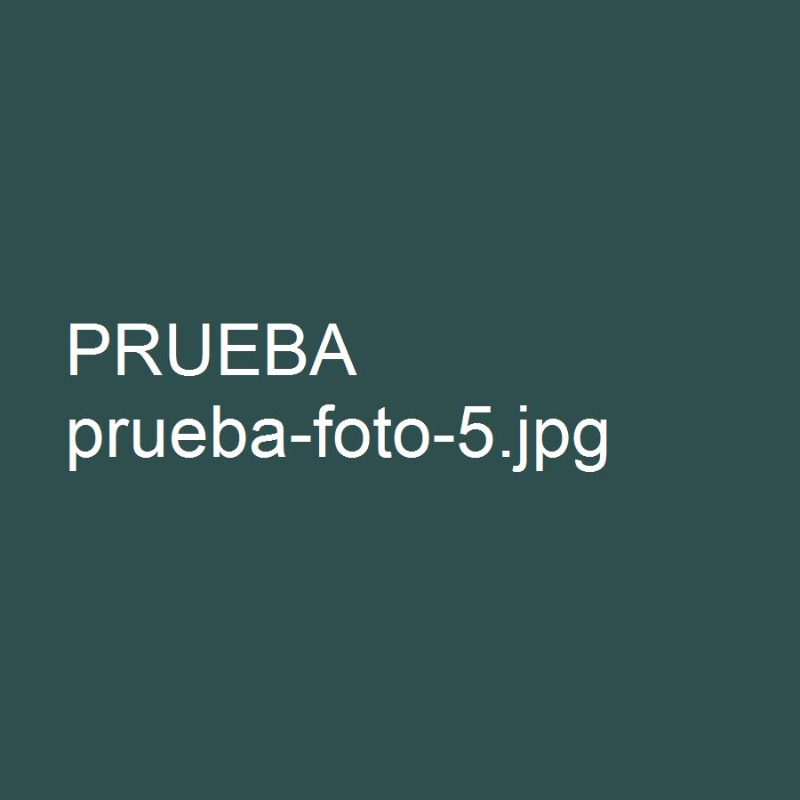 PRUEBA 3 collar de plata